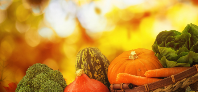 Bist du närrisch? Die Frage musst du dir gefallen lassen.