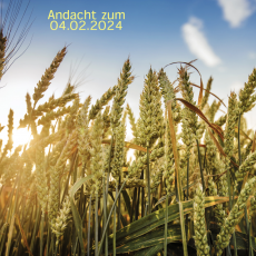 Die Frucht ist reif Die Frucht ist reif