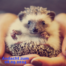 Gottvertrauen – Gott vertrauen Gottvertrauen – Gott vertrauen