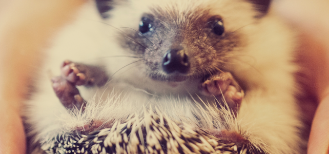 Gottvertrauen – Gott vertrauen