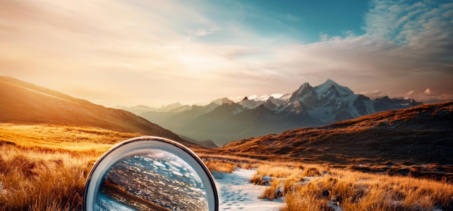 Die Suche nach dem echten Leben